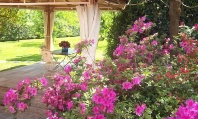 Gallicano House | Holiday house Gallicano for 1 - 2 persons with 1 bedroom - Holiday home