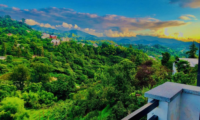 Mtsvane Kontskhi Hotel | Holiday House Green Cape Batumi