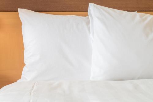 Willows Hotel | Holiday Inn Express Hotel & Suites Willows by IHG