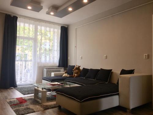 Zalaegerszeg Apartment | Home