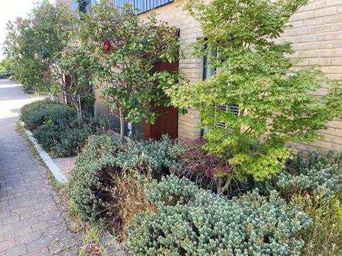 Cambridge House | Homely & Warm Trumpington House w Parking, 5 mins drive to Bio Medical Campus, Addenbrooke's & Papworth hospitals