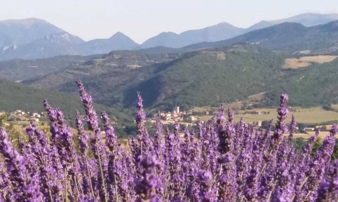 Sainte-Jalle House | Homerez - House in Sainte-Jalle