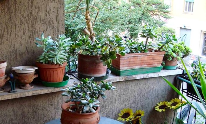 Quartiere XVII Trieste Apartment | Homerez - Nice appartement for 5 ppl. with balcony at Roma