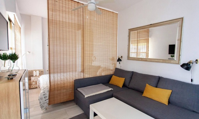 Museo Apartment | Homerez - Studio in the heart of Seville.