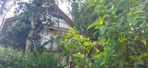 Sea View Ward Bed & Breakfast | Homestay DGH