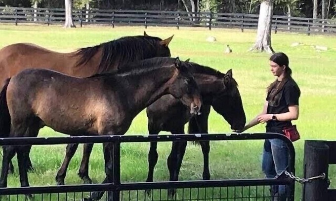 Fellowship House | Horses & Views; Gorgeous Stone Home: 25 acre Ranch, Covered Porch, ages 2+ Ride!