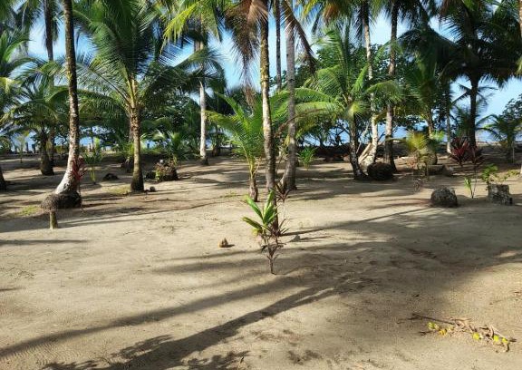 Bahia Solano House | HOSPEDAJE DOÑA NEL
