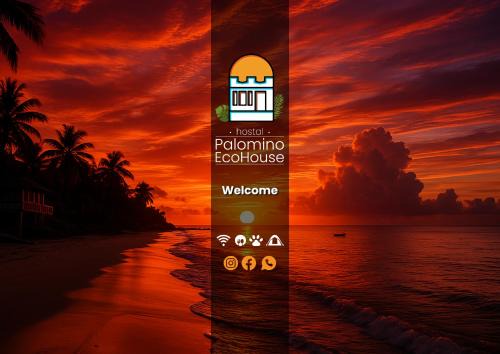 Palomino Cabin | Hostal Palomino EcoHouse & Camping