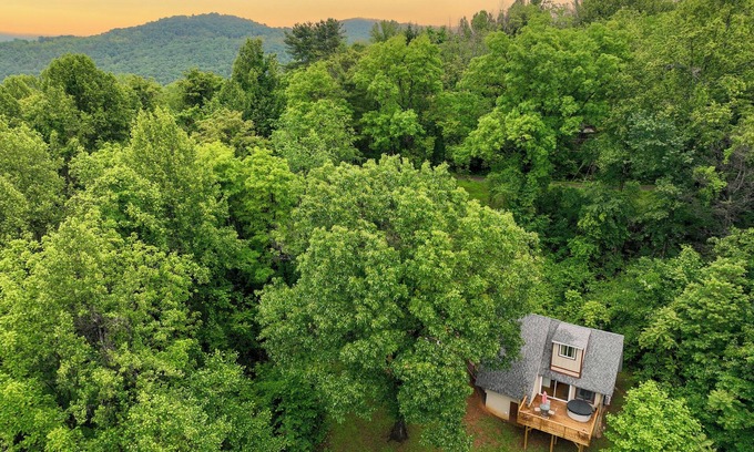 Elkton House | Hot tub, Firepit, Forest Views!