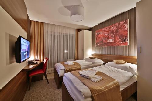 Bardejovske Kupele Hotel | Hotel Alexander