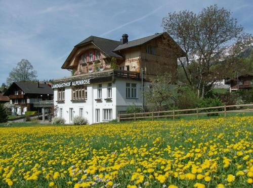 Hofstetten bei Brienz Bed & Breakfast | Hotel Alpenrose beim Ballenberg