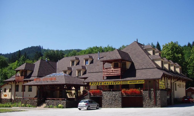 Stare Hory Hotel | Hotel Altenberg