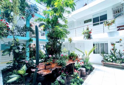 Palmira Hotel | Hotel Boutique los Remansos