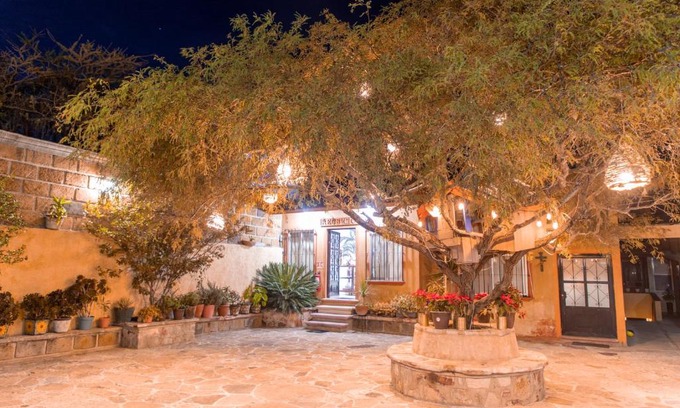 Bernal Hotel | Hotel Casa del Arbol