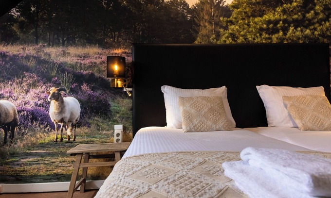 Odoorn Hotel | Hotel de Oringer Marke & Stee by Flow