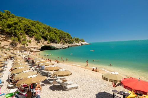 Vieste Hotel | Hotel degli Ulivi