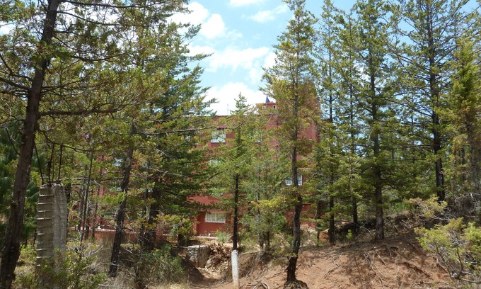 El Oro Hotel | Hotel Gold