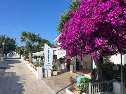 Tremiti Islands Hotel | Hotel La Meridiana
