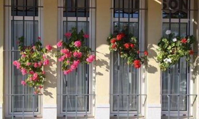 Aznalcazar Hotel | Hotel Lince