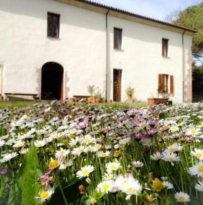 Villanova Monteleone Hotel | Hotel Locanda Minerva