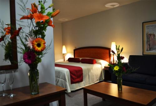 Tulancingo Hotel | Hotel Mediterraneo Sa De Cv