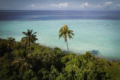 Omadhoo Hotel | Hotel