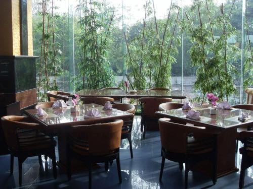 Darmo Hotel | Hotel Oval