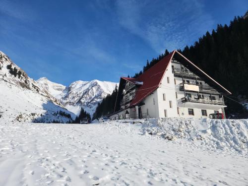 Capatanenii Pamanteni Hotel | Hotel Paraul Capra