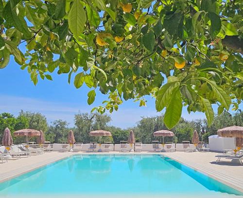 Mattinata Apartment | Hotel Residence Torre Del Porto