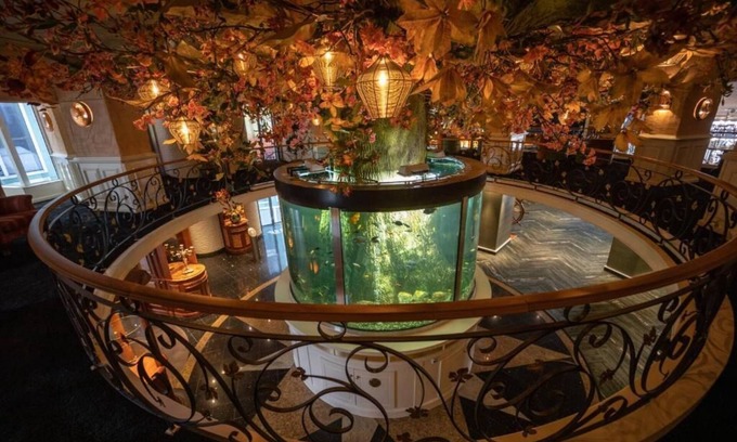 Lichtmis Hotel | Hotel & Restaurant Infinity