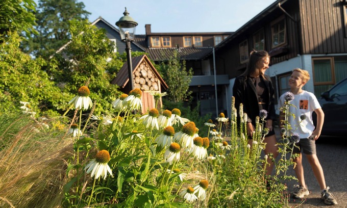 Zeddam Hotel | Hotel Restaurant Ruimzicht