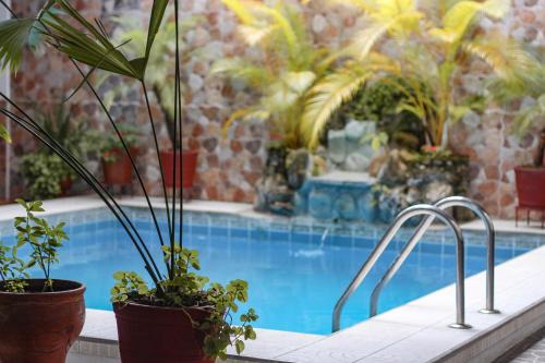 Moyobamba Hotel | Hotel Rio Mayo