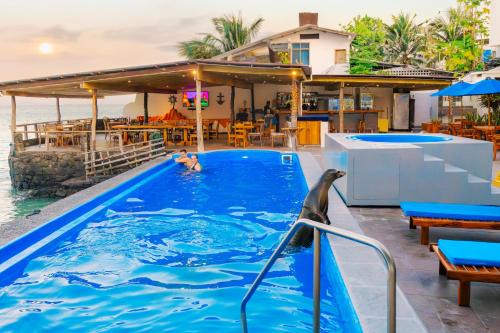 Bahia de la Academia Hotel | Hotel Solymar