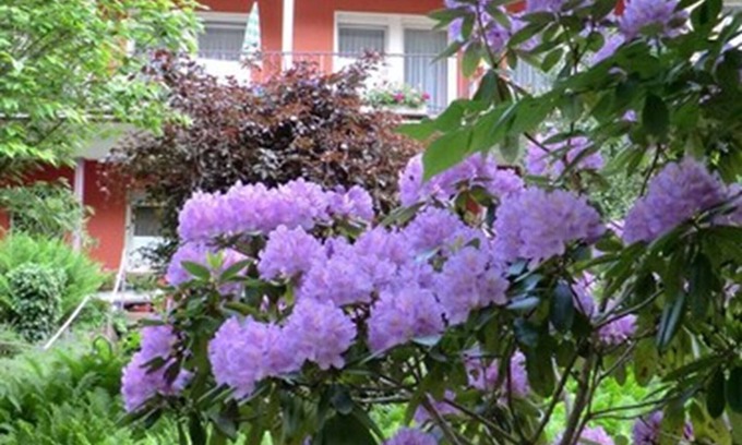 Bad Wildbad Hotel | Hotel Sonnenhof