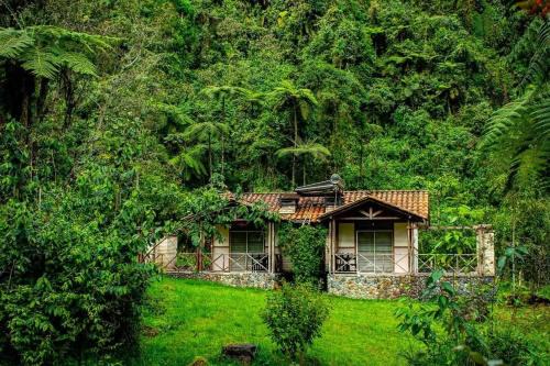 Santa Rosa de Cabal Hotel | Hotel Termales San Vicente