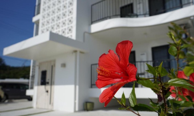 Kin Apartment | hotel towaie