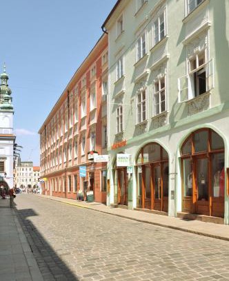 Ceske Budejovice Hotel | Hotel v Centru