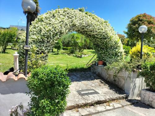 Torrecuso Hotel | Hotel Vittoria