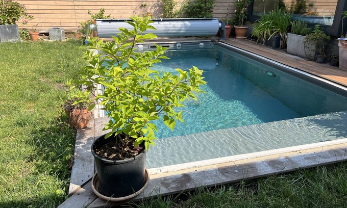 Nansouty-Saint-Genes House | House Center Bordeaux | Private Heated Pool & Garden