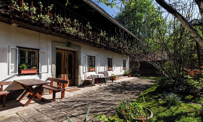 Bled House | House, garden and a green cat