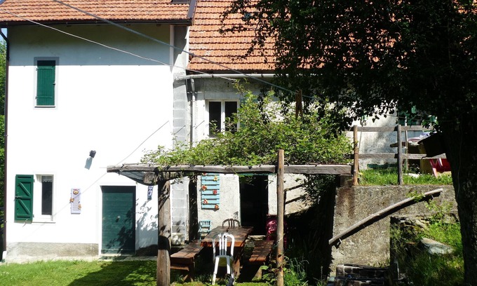 Urbe House | House in the Forest Purple (CITRA Code 009063-LT-0016)