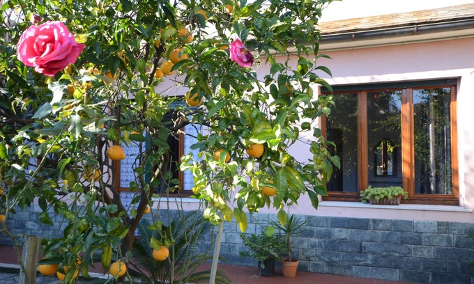 Sant'Ilario House | House in the green, 100 meters from the sea