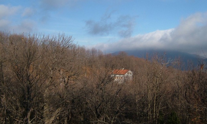 Osiglia House | House in the woods Osiglia, Liguria