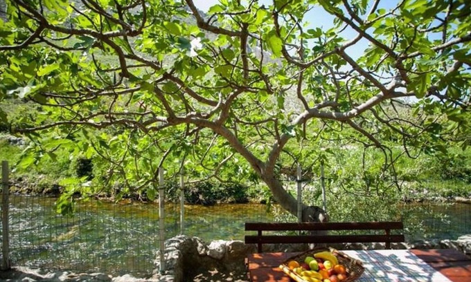 Zrnovnica House | House River (111981-K1) - Zrnovnica (Split)