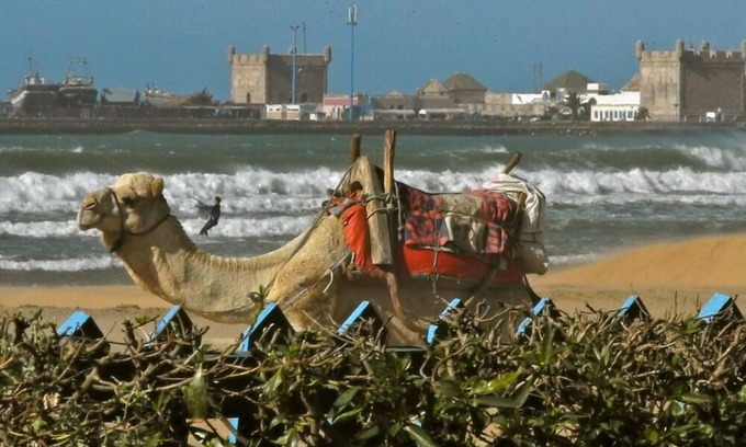 Essaouira House | House/Villa - ESSAOUIRA diabat