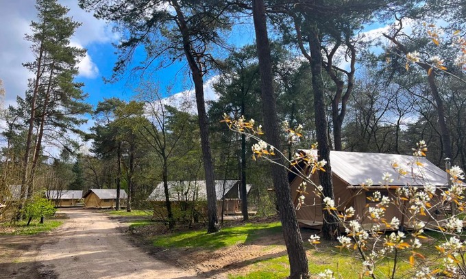 Kootwijk Other | Huttopia De Veluwe