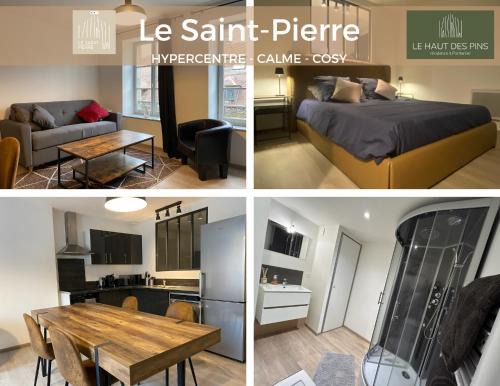 Pontarlier Apartment | Hypercentre, calme, cosy - Le Saint-Pierre