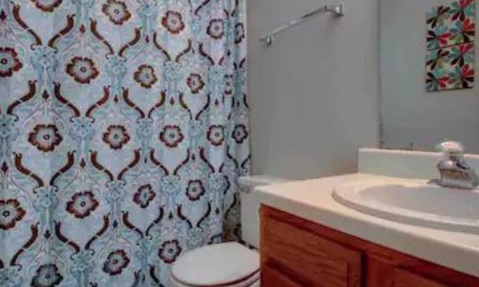 Roanoke House | I AM a Quiet, 2BR Townhouse w/Pets Considered near Downtown