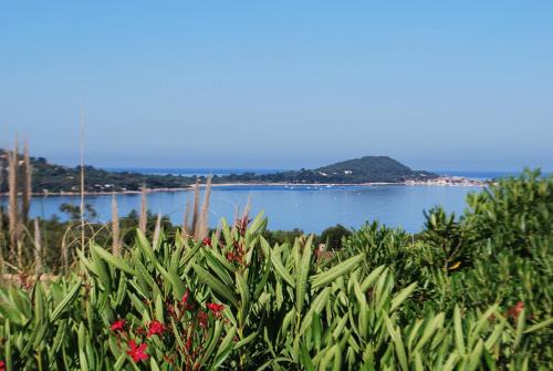 Molini Apartment | I Casetti