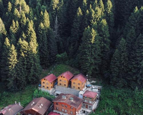 Ayder Yaylasi Ski Chalet | İnka Dağ Evi